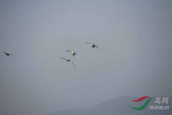 _E8J0276.jpg