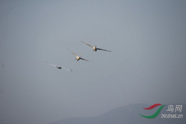 _E8J0278.jpg