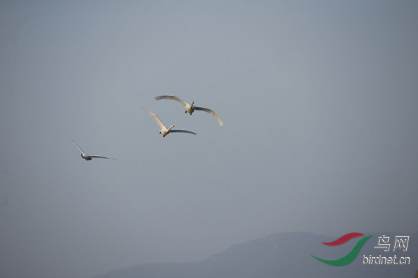_E8J0280.jpg