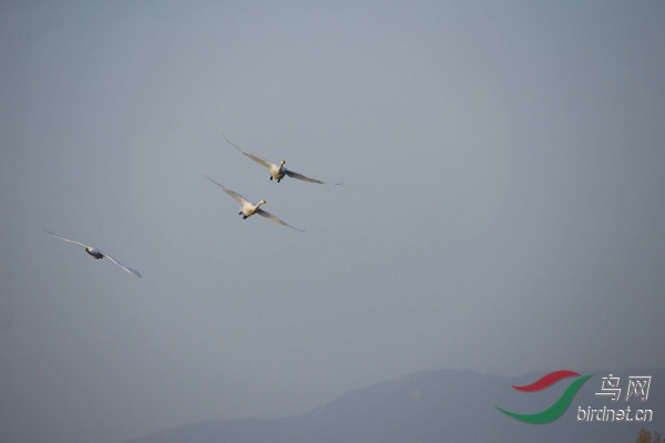 _E8J0281.jpg