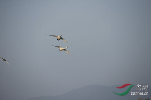 _E8J0282.jpg