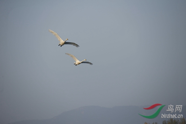 _E8J0286.jpg