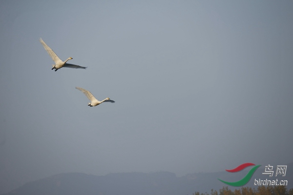 _E8J0289.jpg