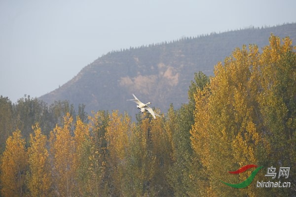 _E8J0306.jpg