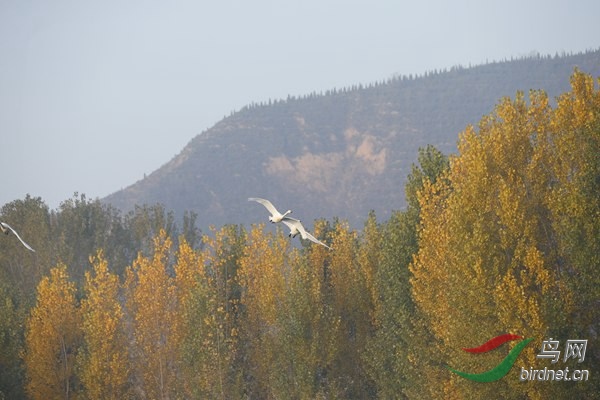 _E8J0304.jpg