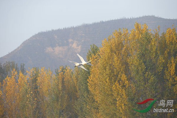 _E8J0310.jpg