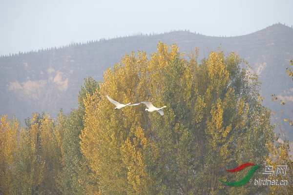 _E8J0315.jpg
