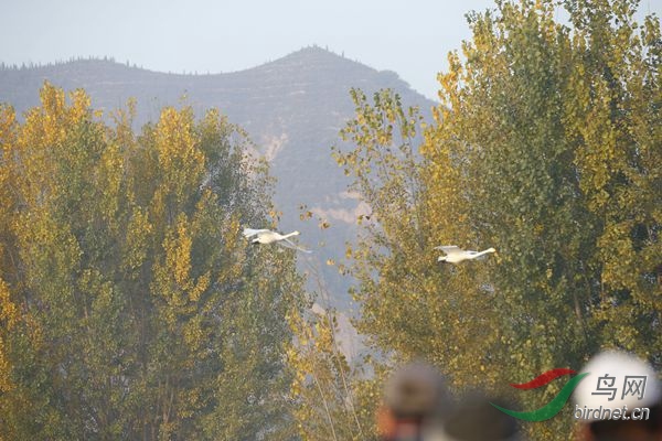 _E8J0324.jpg