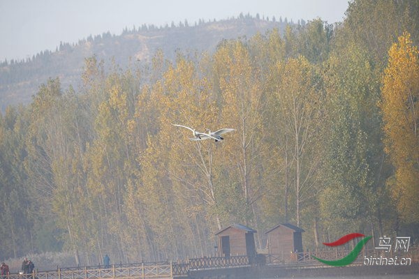 _E8J0334.jpg