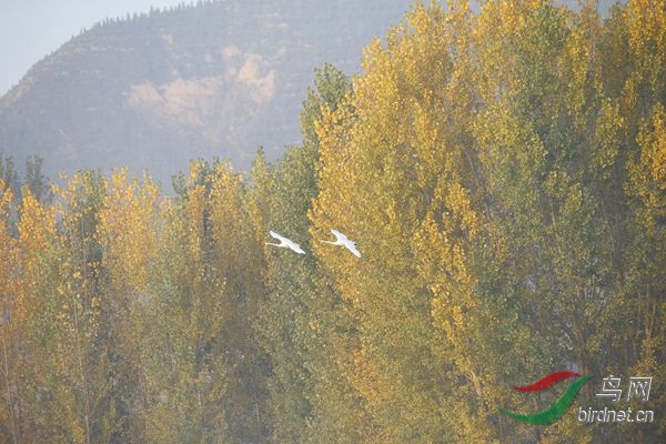 _E8J0329.jpg