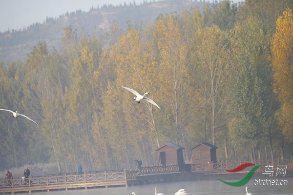 _E8J0349.jpg