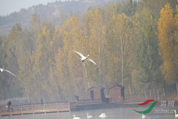 _E8J0350.jpg