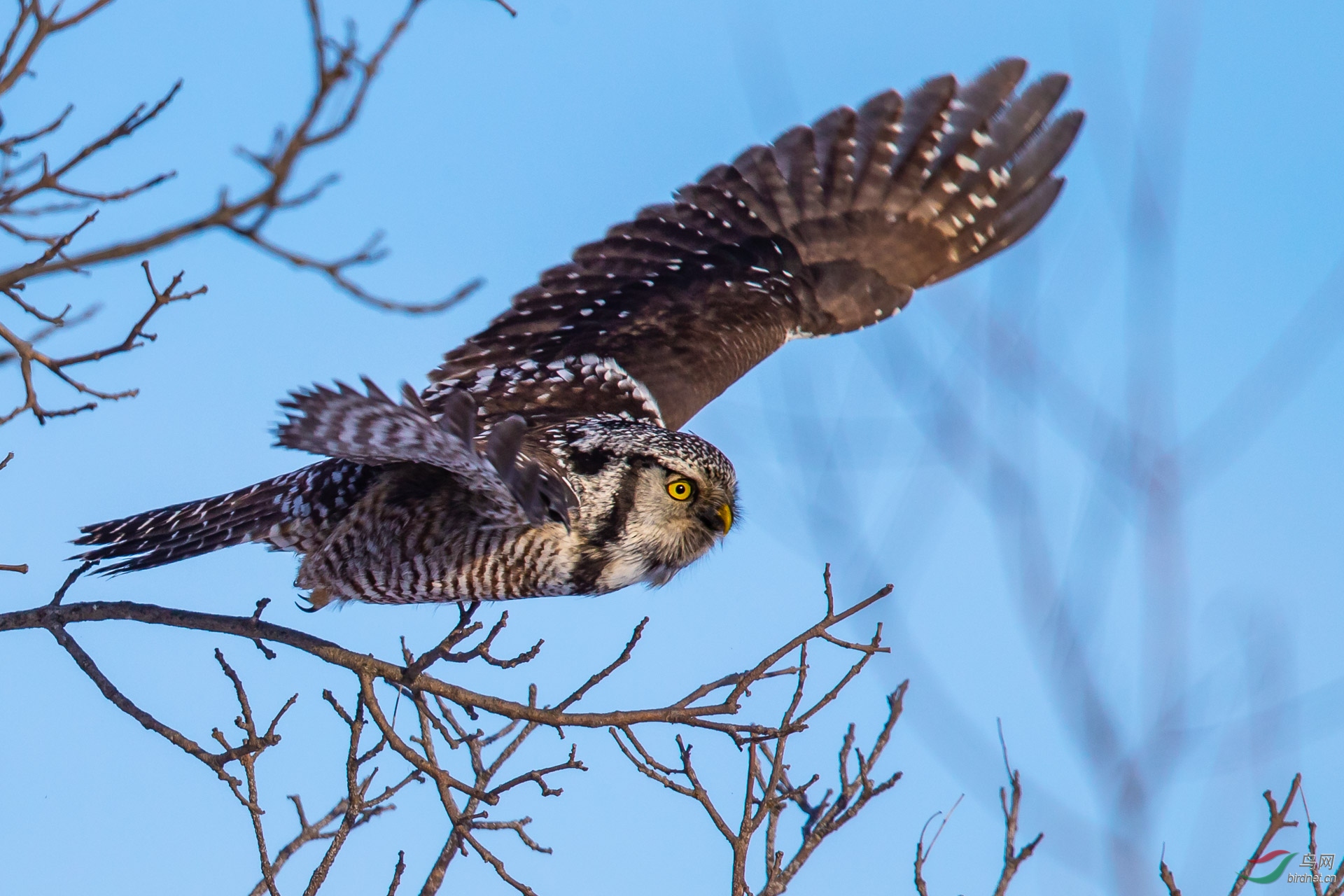 ɨ��һ�к��˳�  ȫ�޵�.jpg