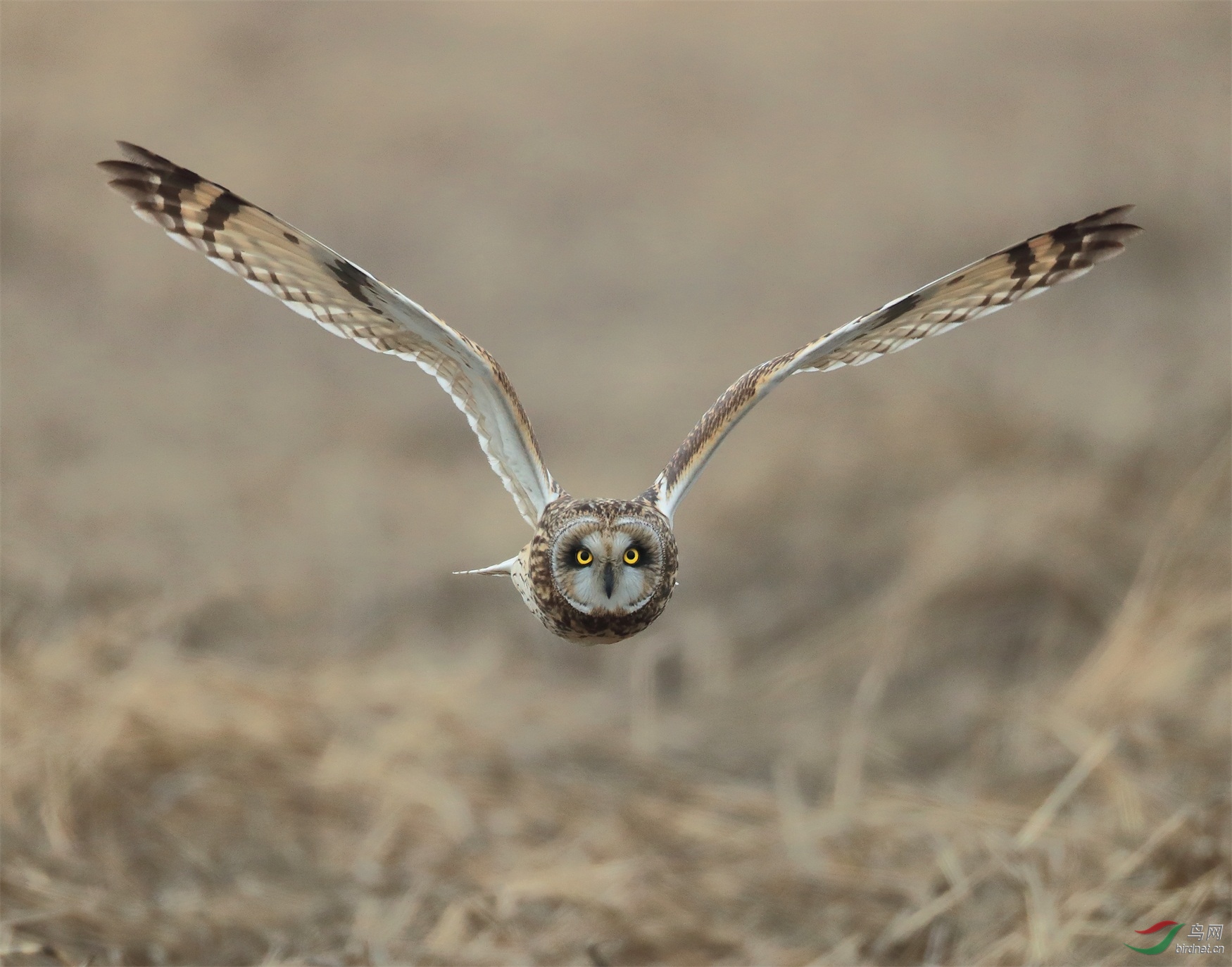 51 - ����.JPG