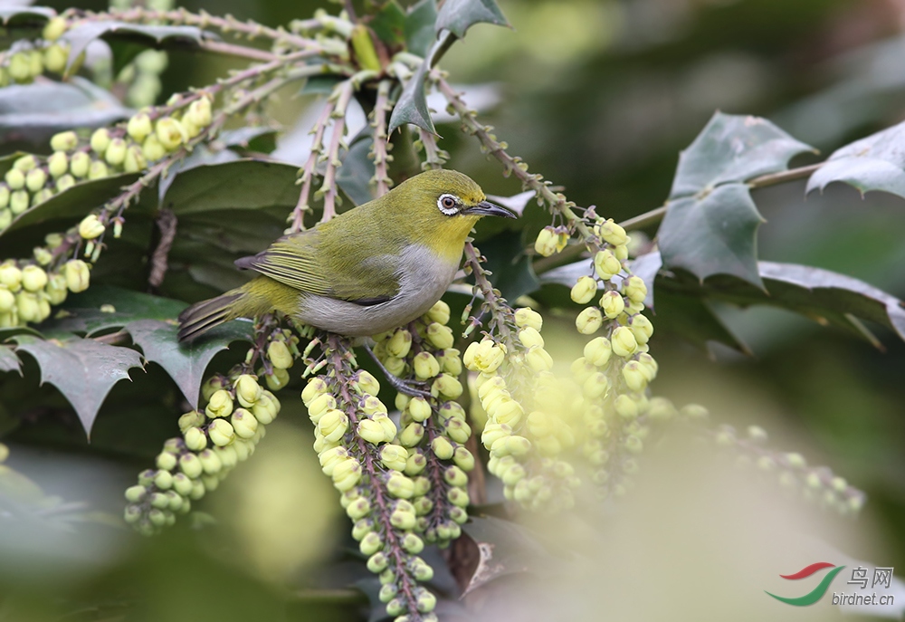 ȸ ������ ��������.jpg