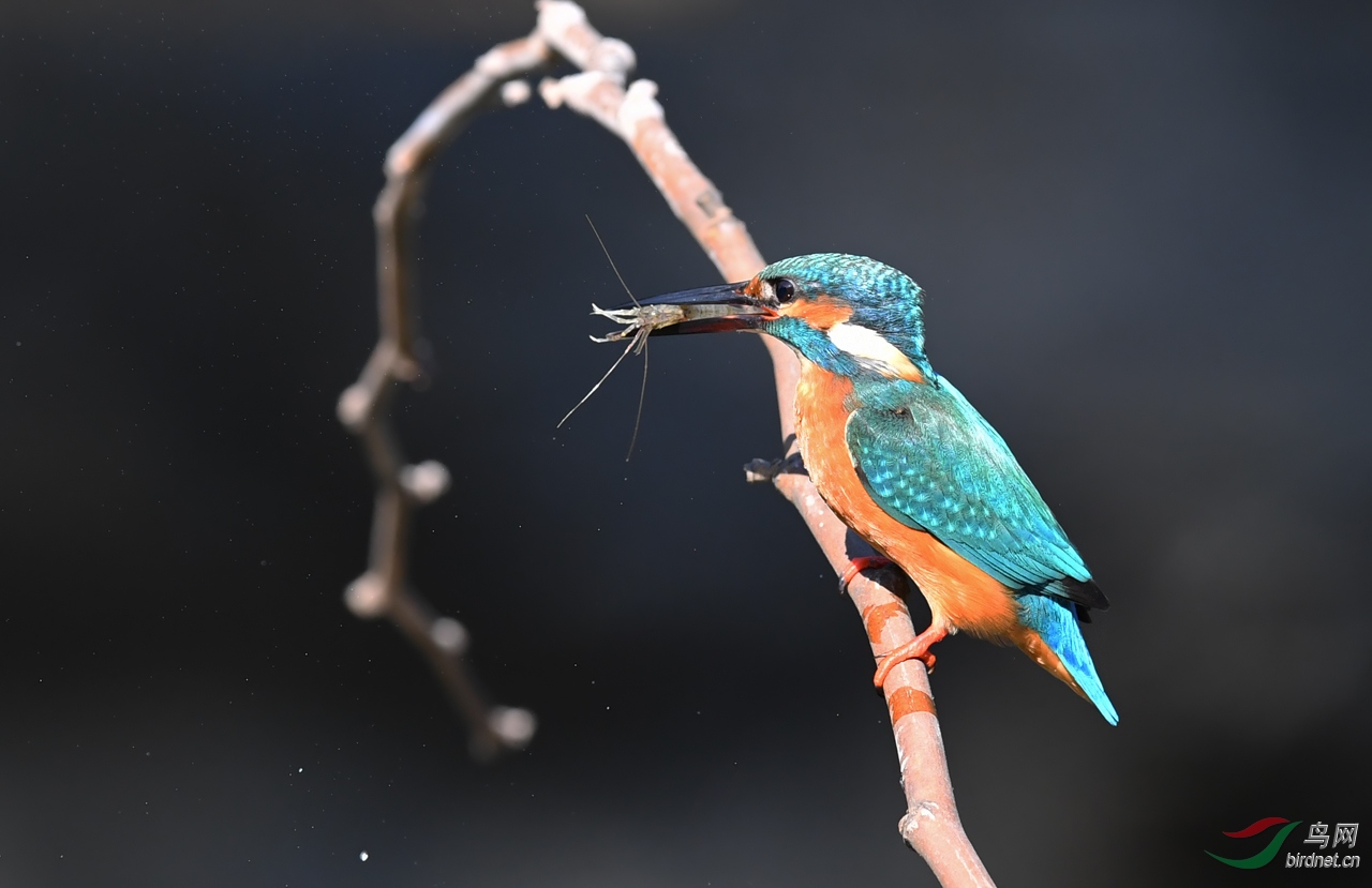 DSC_4097.jpg