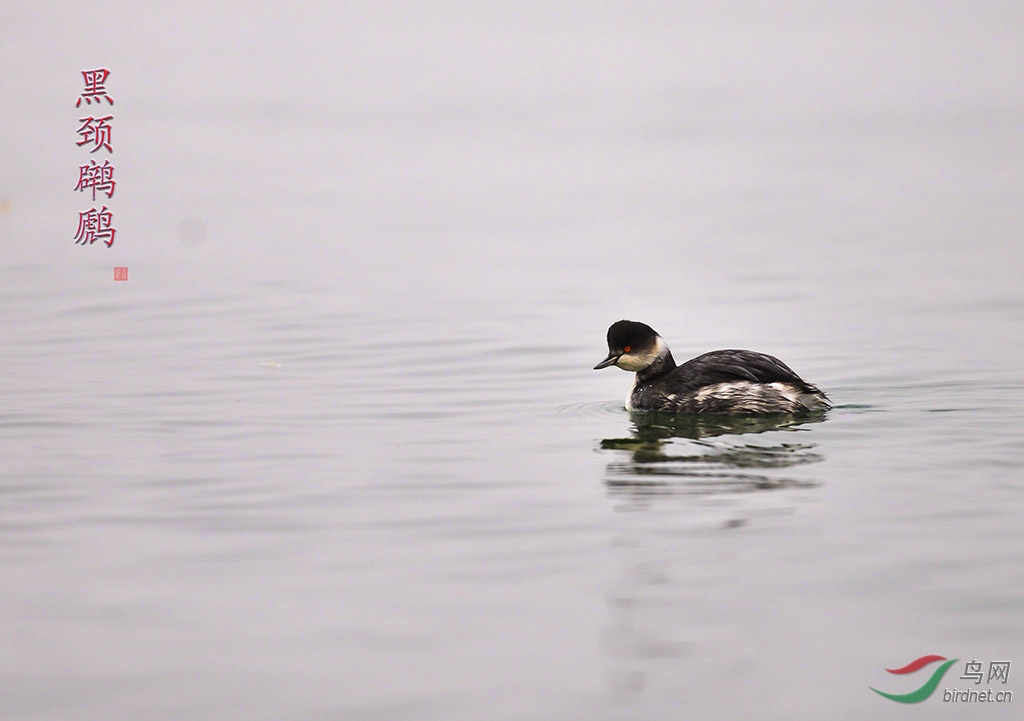 DSC_7023-1.jpg