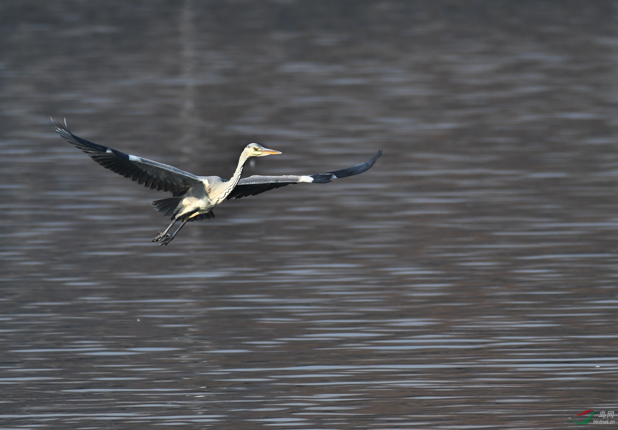 ������Ӱ 2335����.jpg