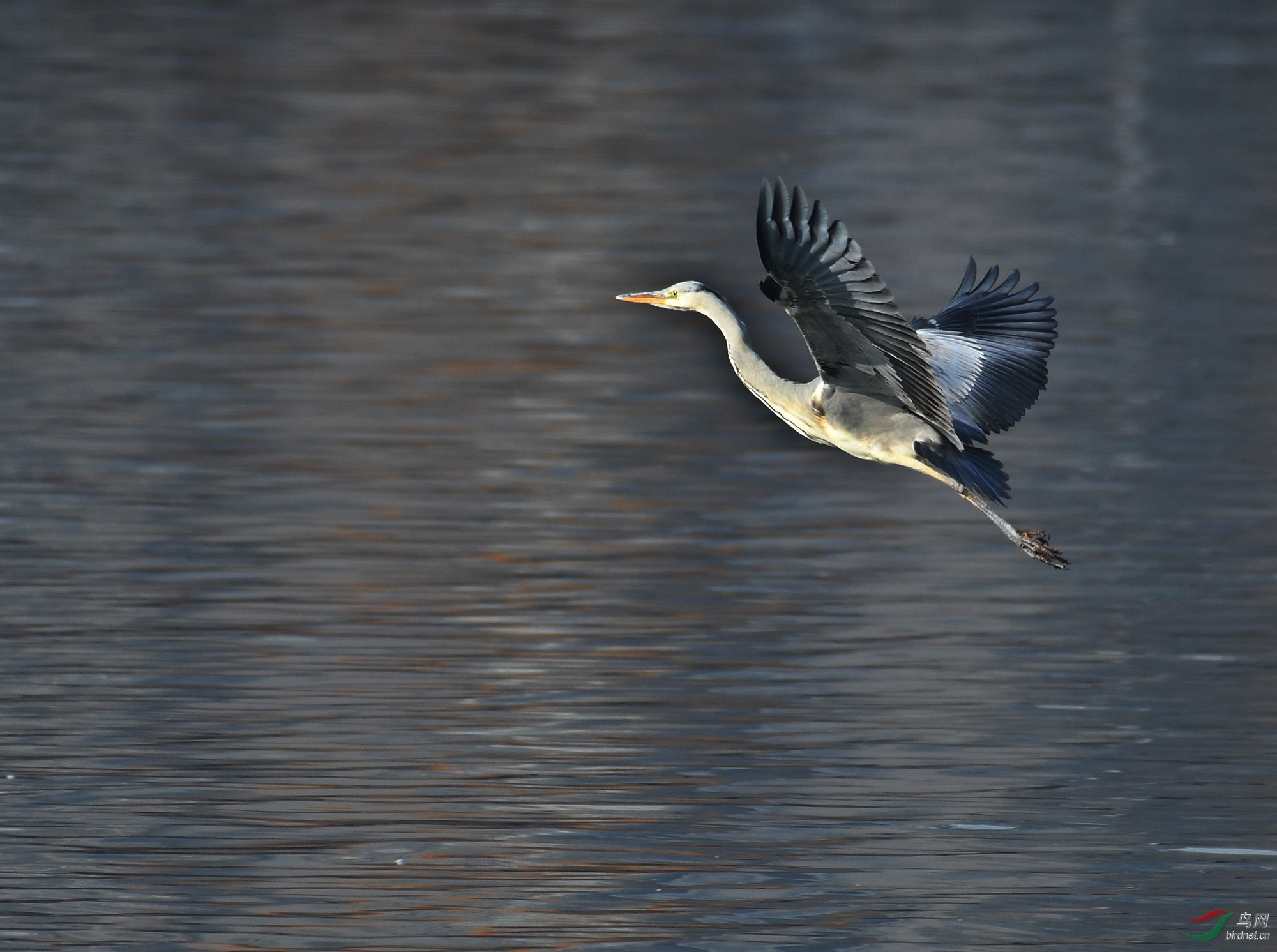 ������Ӱ 2358����.jpg