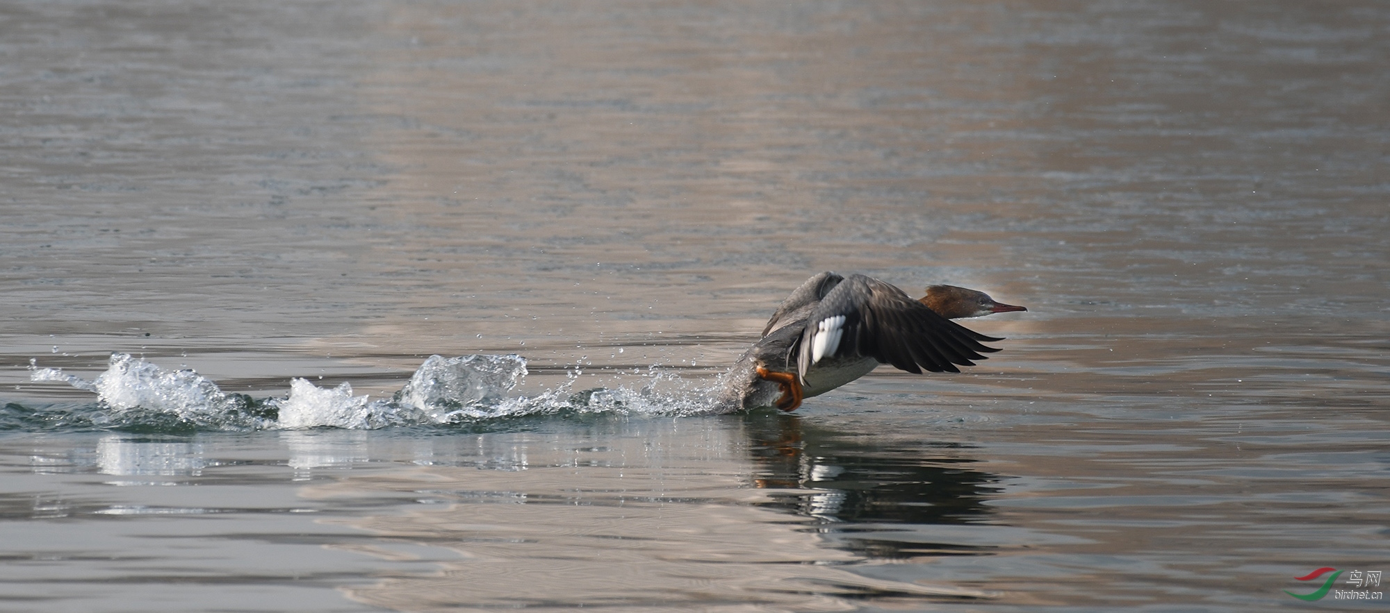 ������Ӱ 2467����.jpg