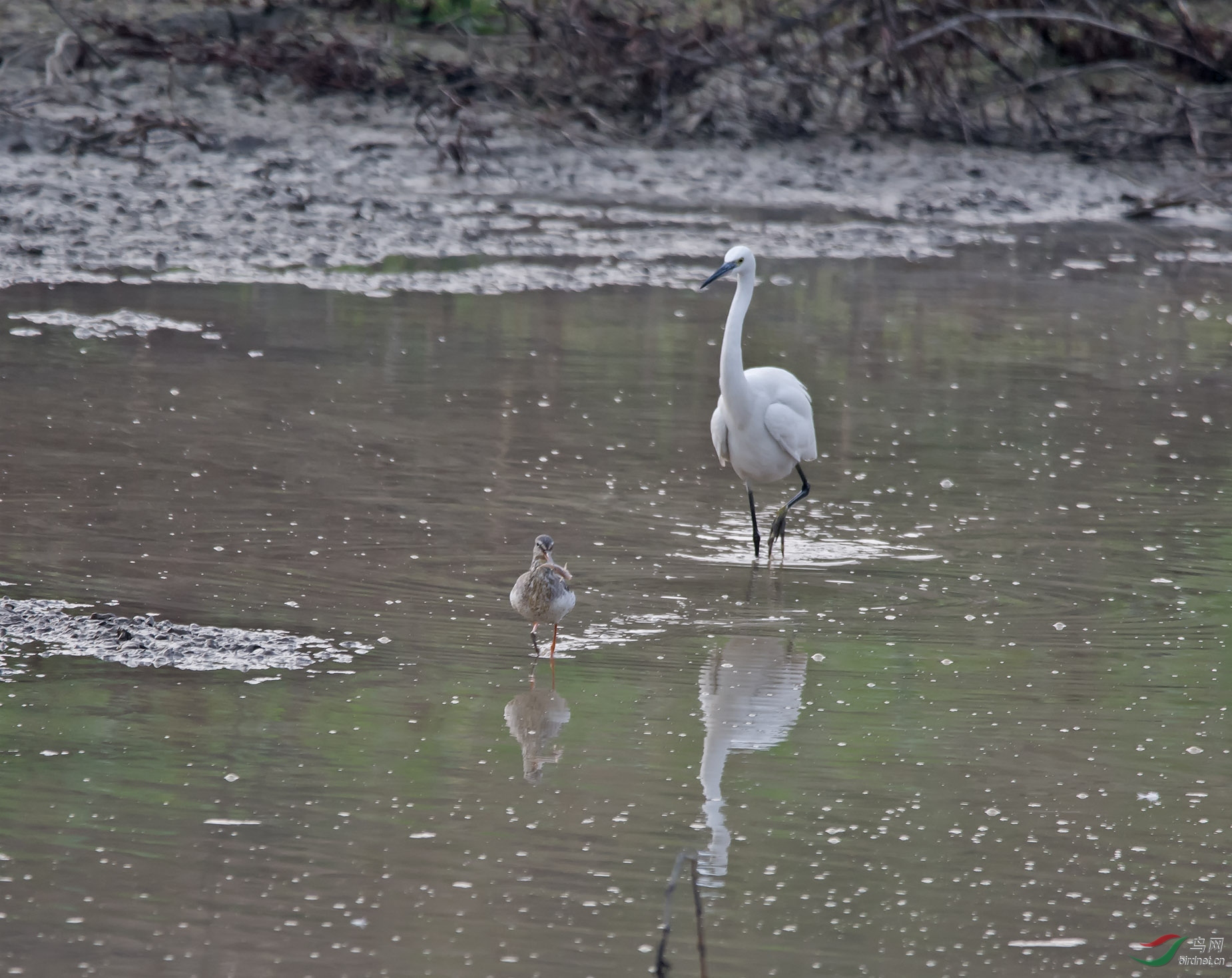 �����ں���׷��