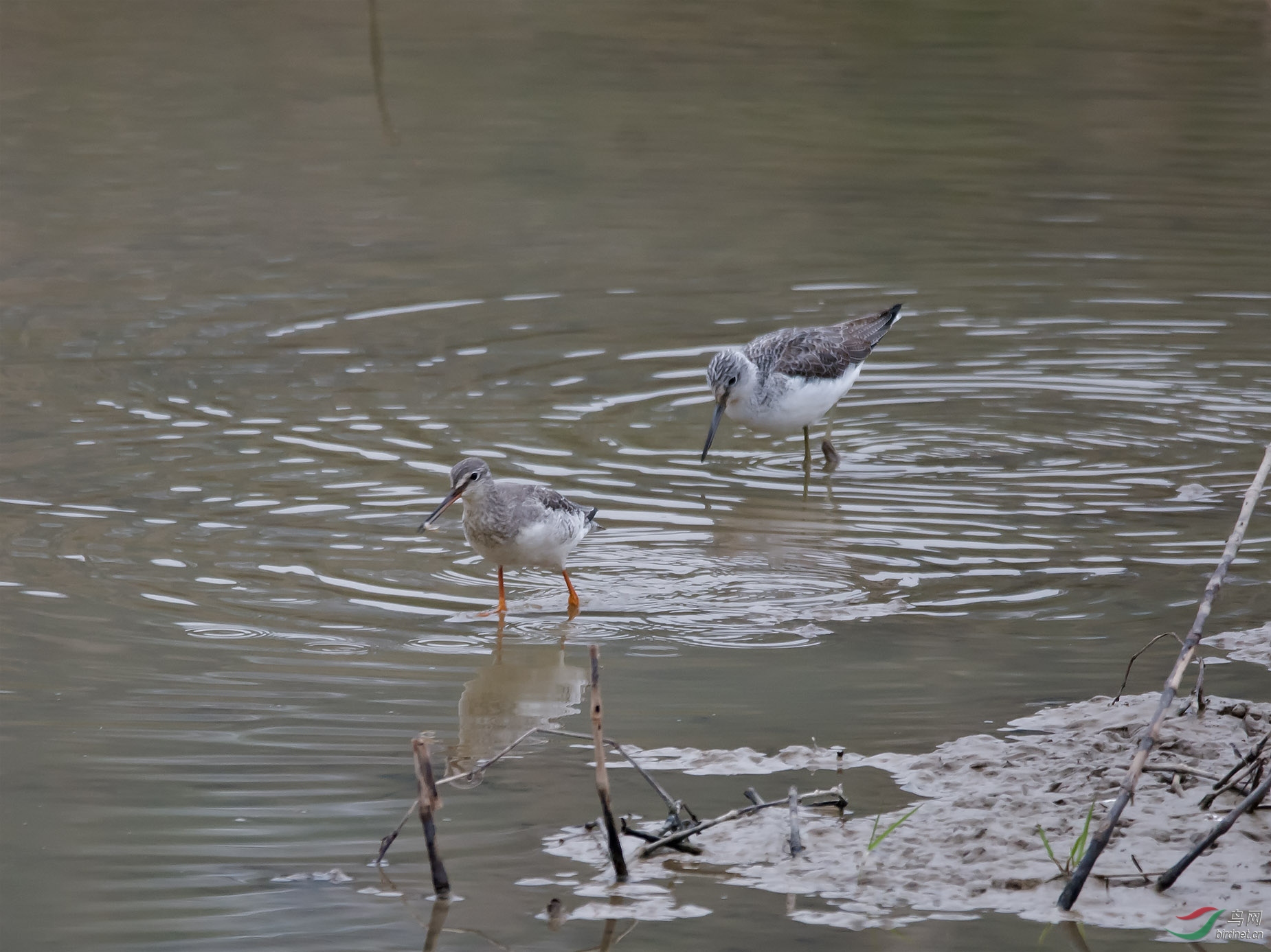 ������ں���׷