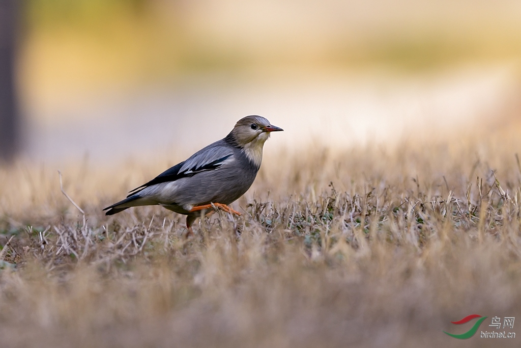 ˿����� (5)_3.jpg