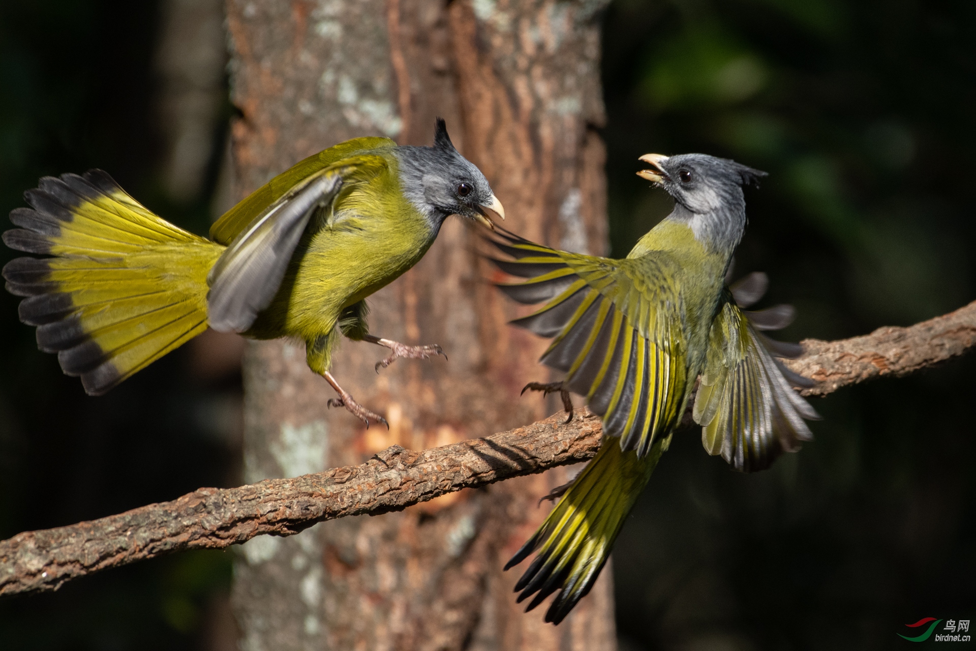 24����0013.3���q�� һ���ߵ� ����.jpg