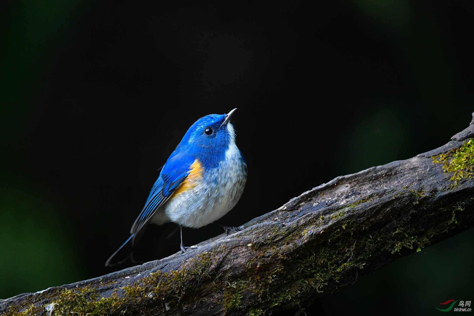 0004.0��ѻȸ ��ü��� ������.jpg