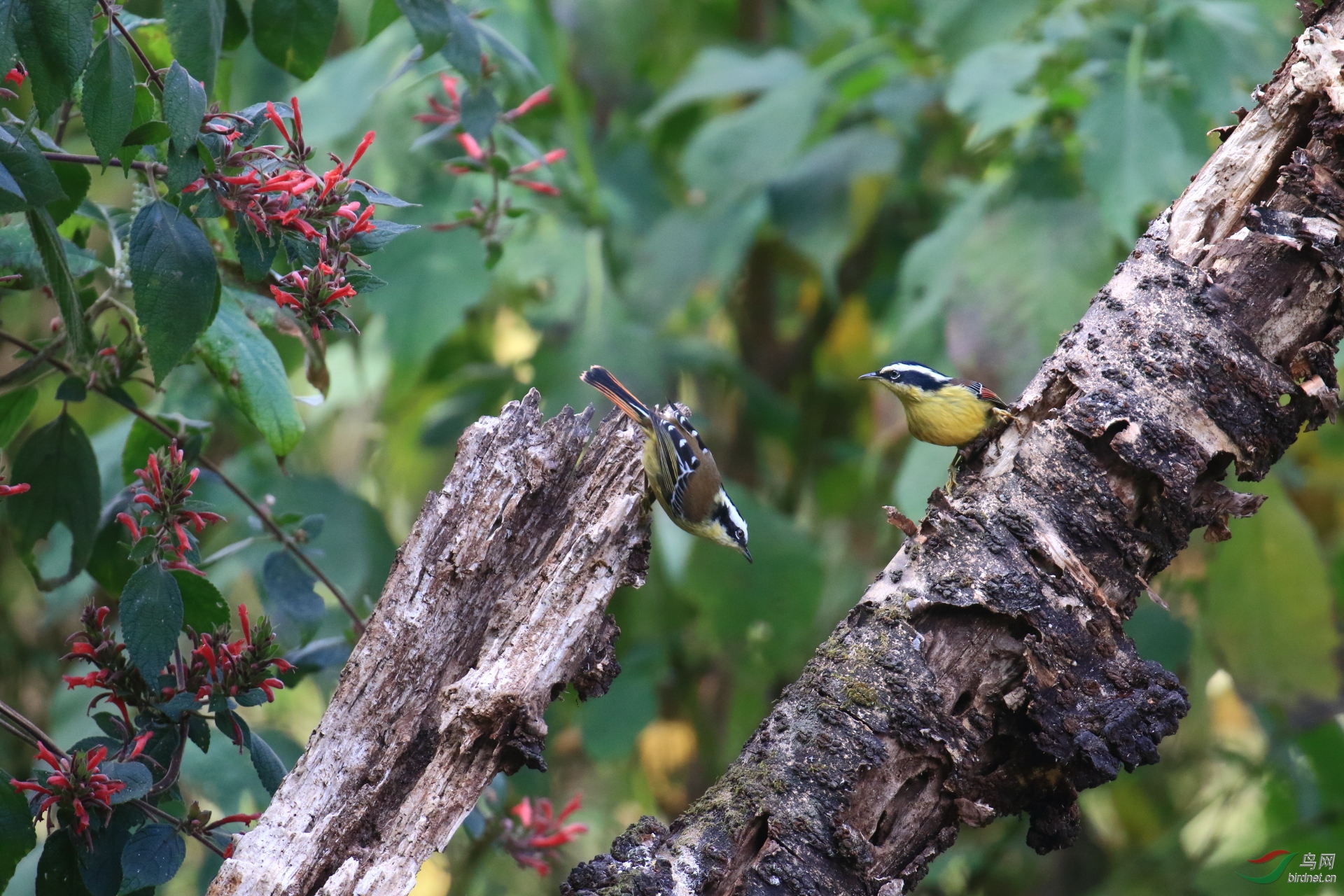 0068.Sujan India_SC194026XX.JPG