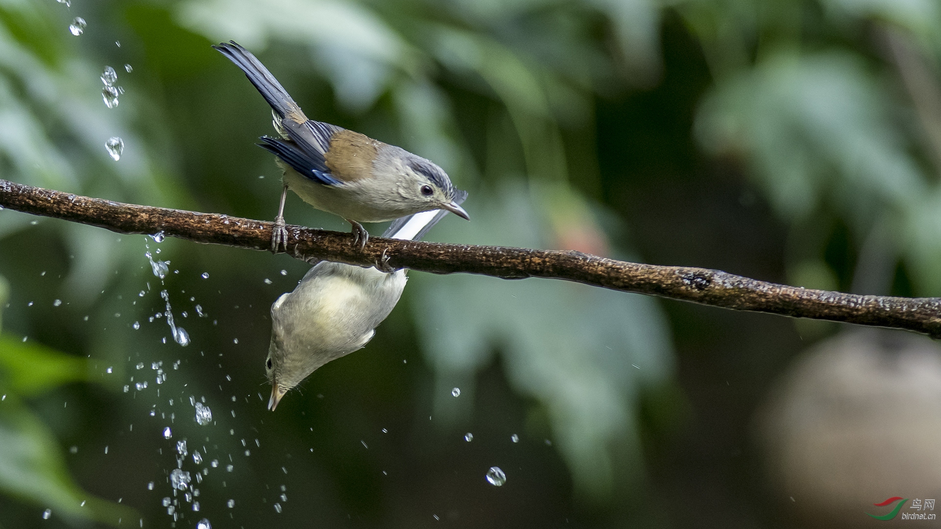 0022.Bhutan1-Phub Dorji.jpg