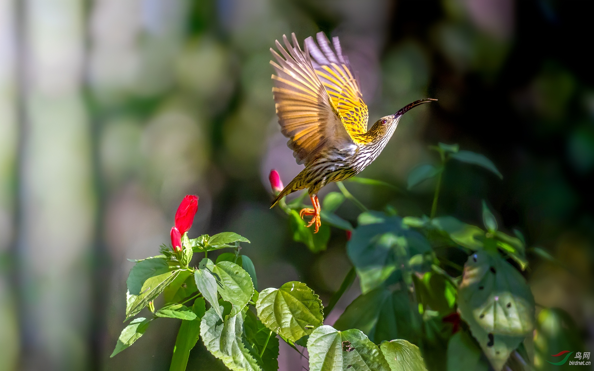 0181.Ѫȸ������-�γ��� (2).jpg