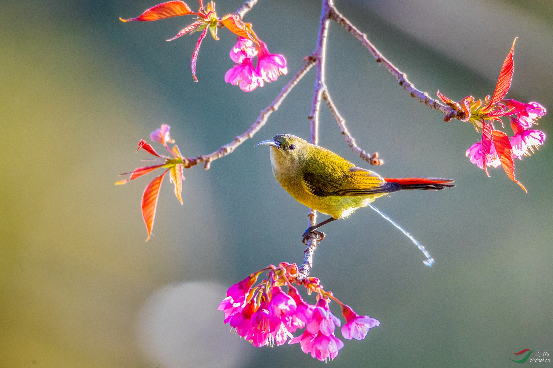 0002.0��ѻȸ ��β̫���� �ඦӯ (2).jpg