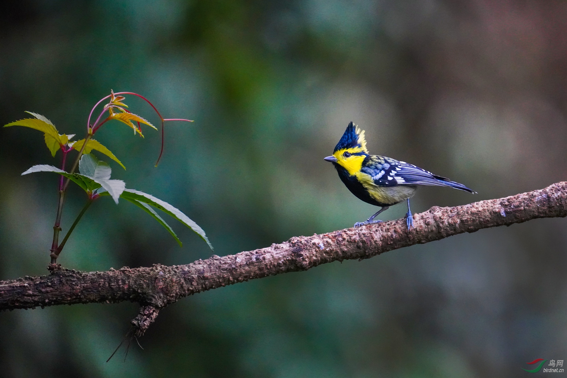 0006.0��ѻȸ �Ƽ�ɽȸ  �κ���.jpg