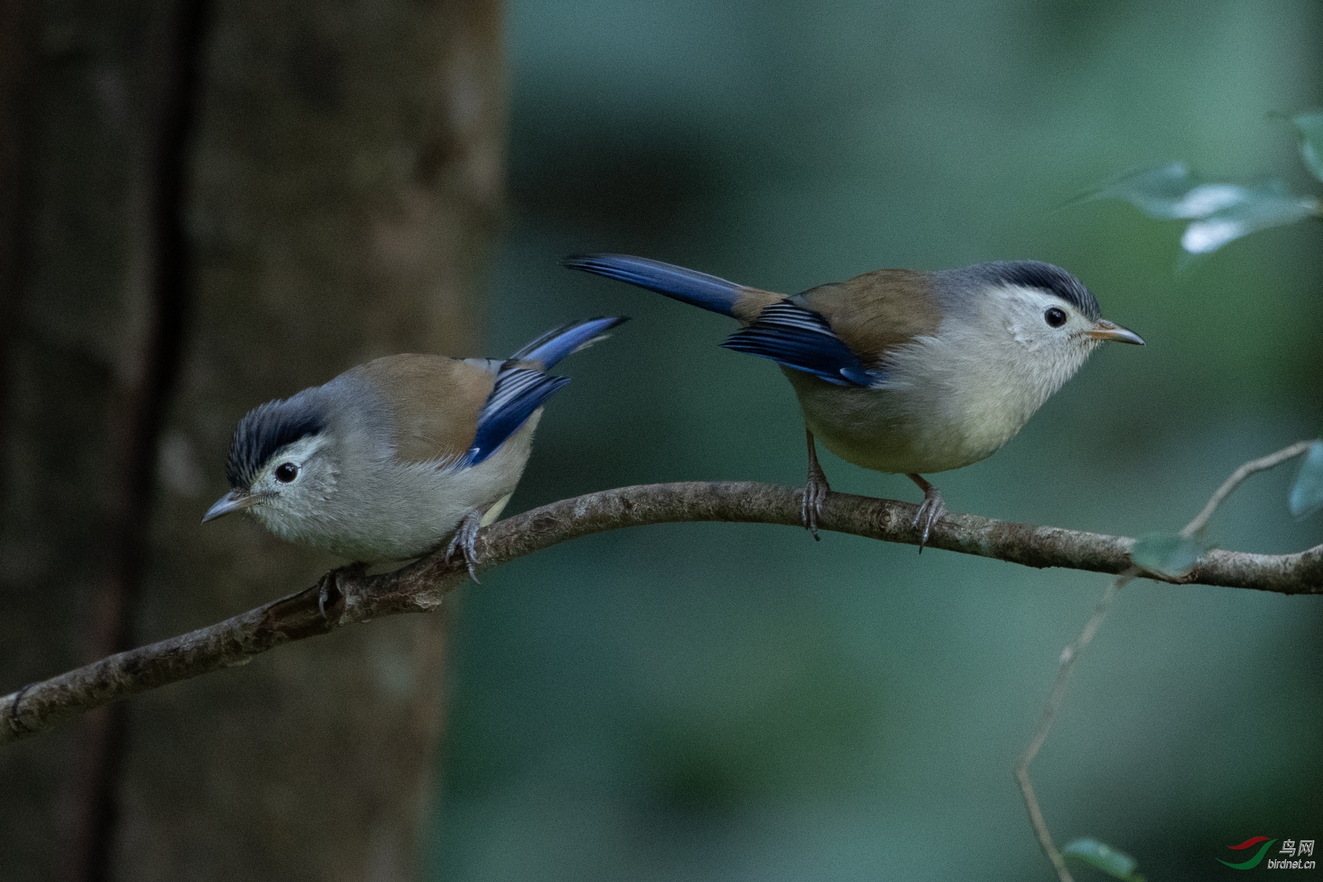 0012.2���q�� ������ ����.jpg