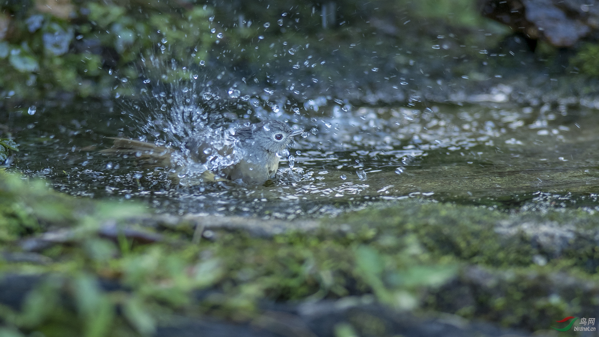 0025.Bhutan2-Phub Dorji.jpg