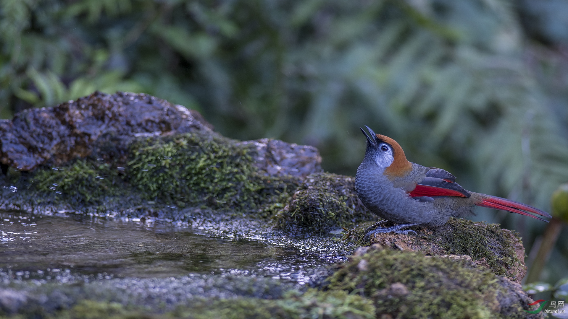 0031.Bhutan4-Phub Dorji.jpg