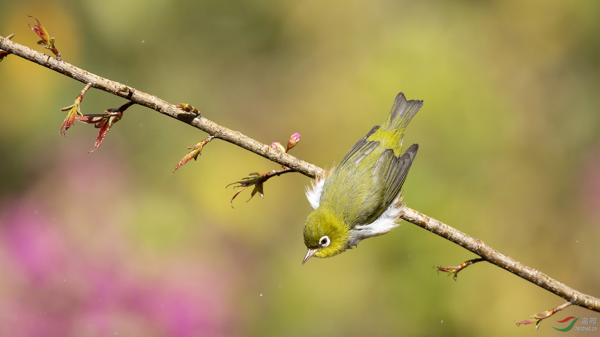 0083.�л���ͷ��Ÿ�� ̽�� С��.jpg