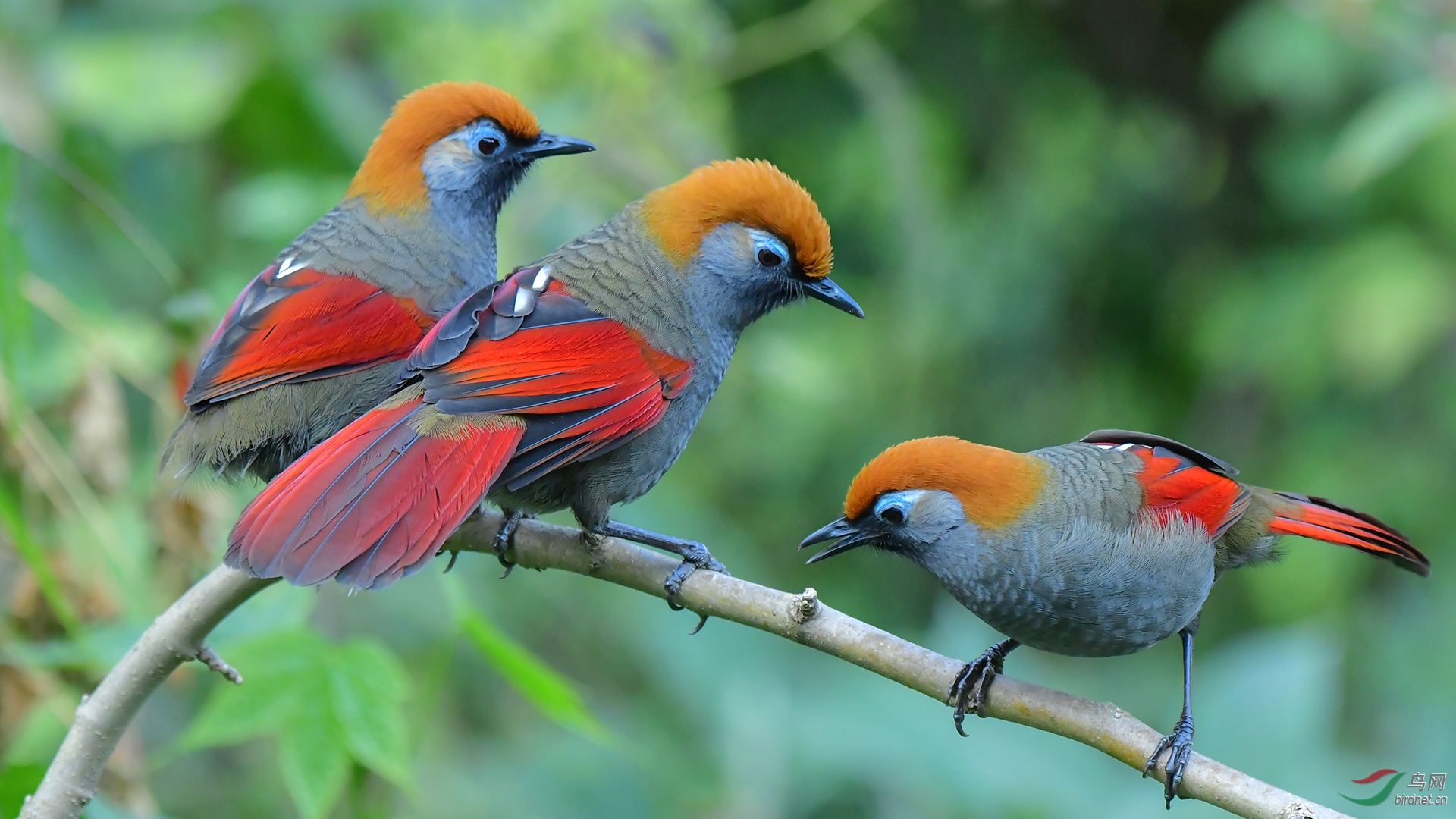 0149.ϸ�칳��ü�� �����  ��һ���ӡ�.JPG