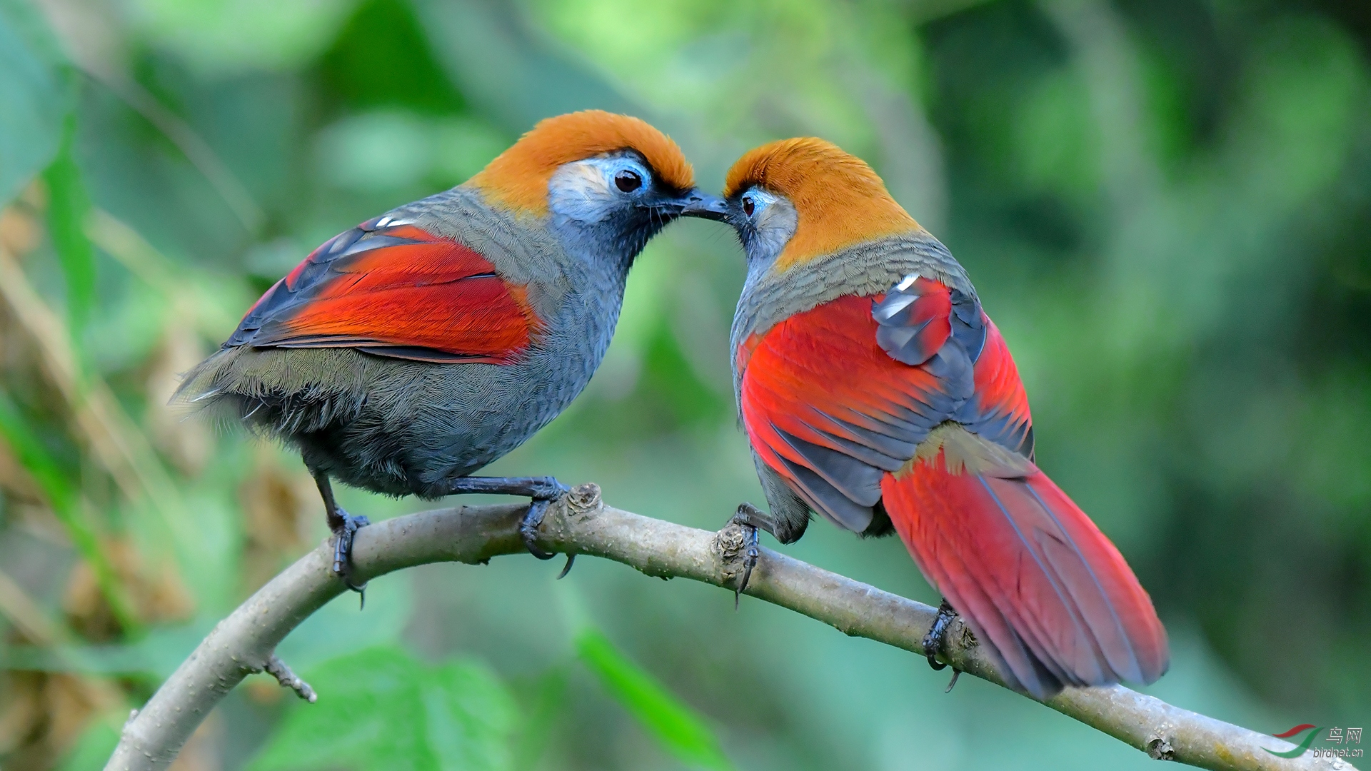 0150.ϸ�칳��ü�� �����  �������ҵı�����.JPG