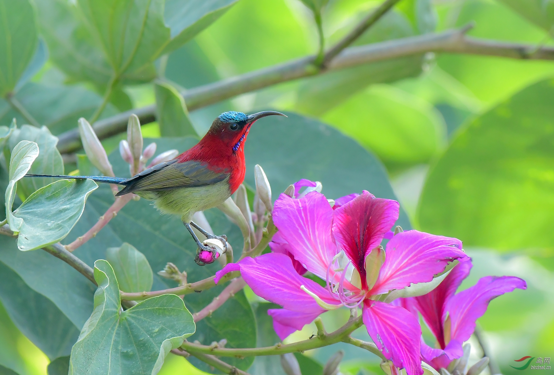 0151.ϸ�칳��ü�� �����  ��̫����.JPG