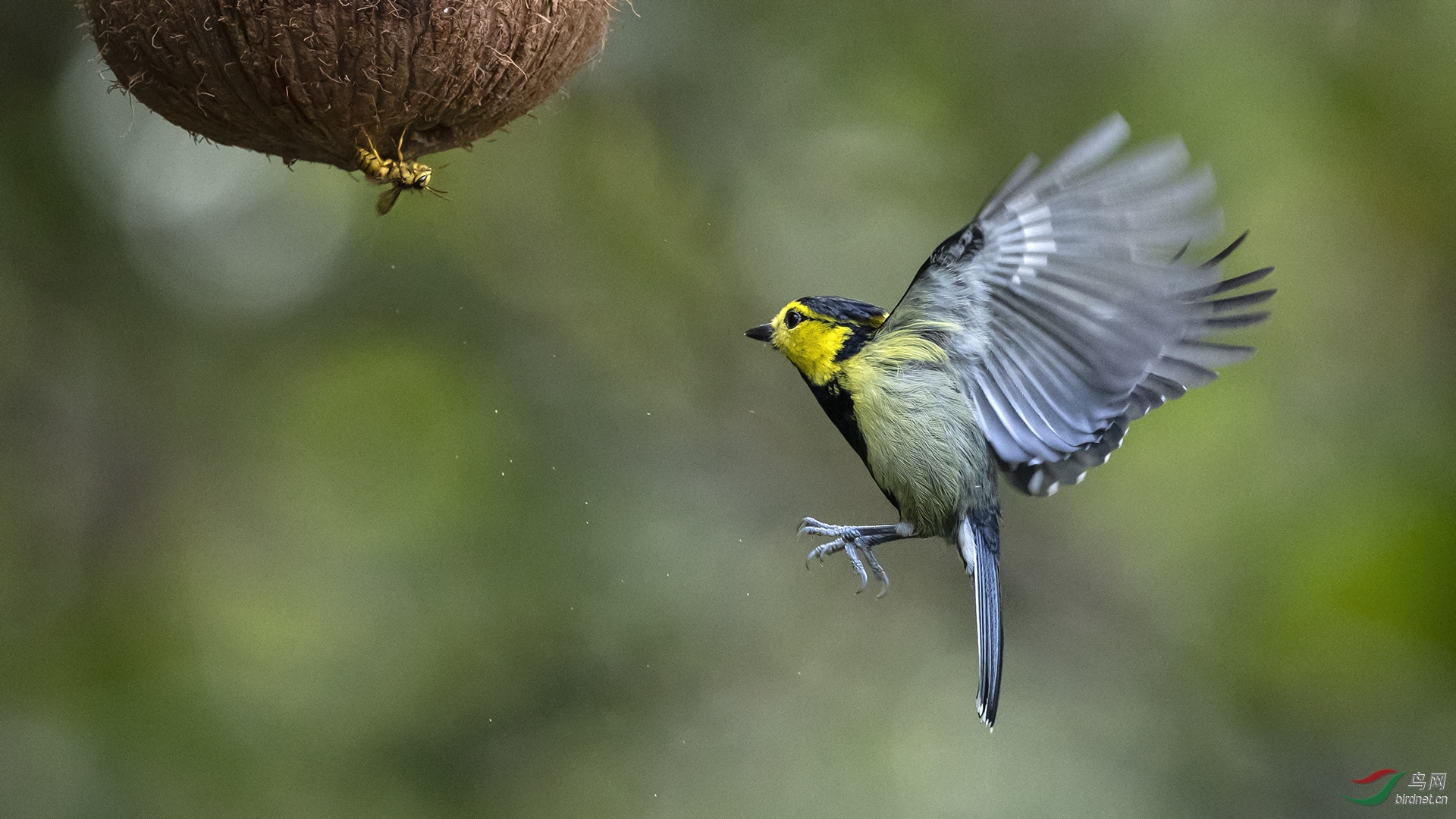 0068.�л���ͷ��Ÿ�� �������� ��ƽ��.JPG