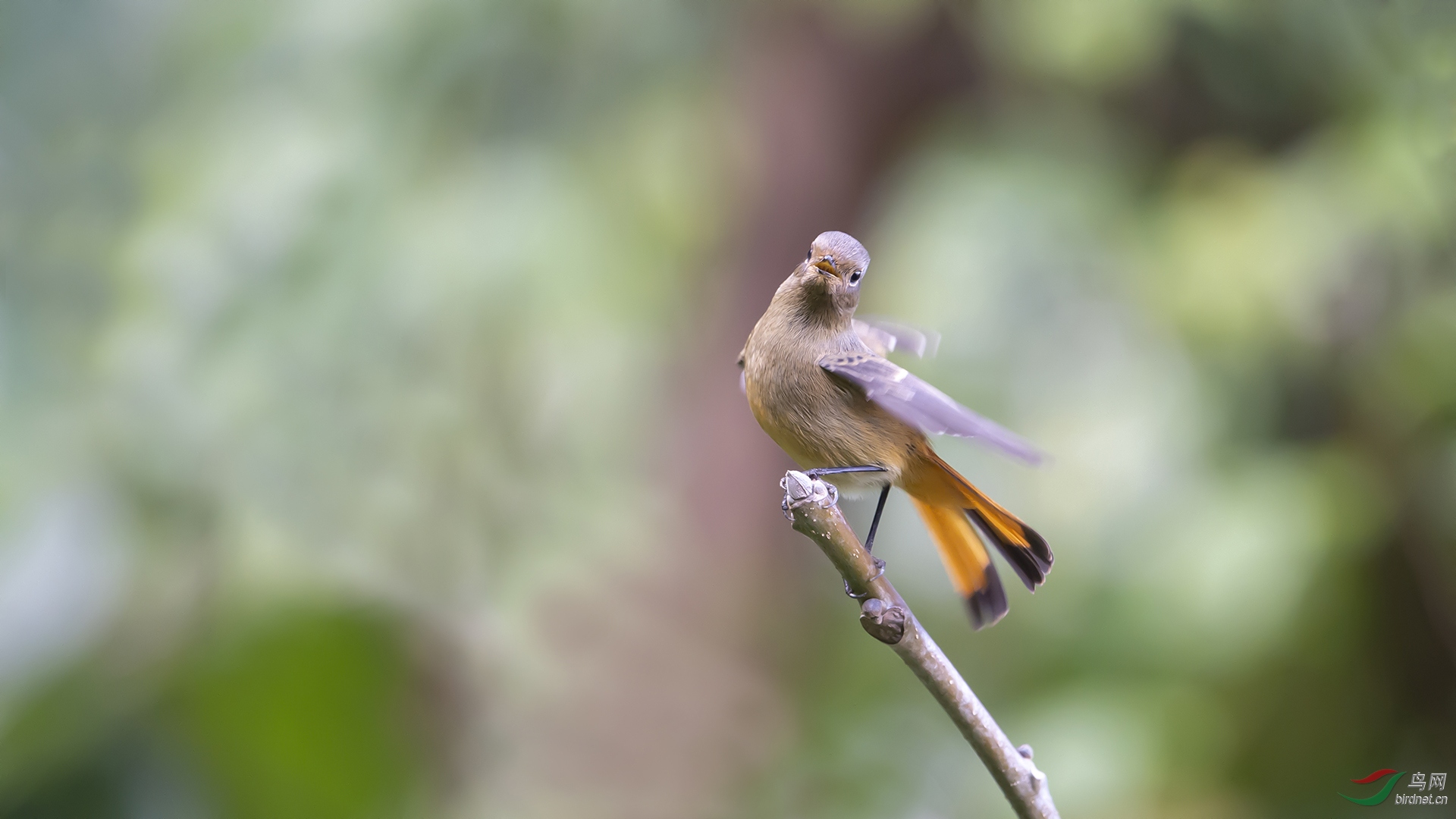 0061.�л���ͷ��Ÿ�� ���� �������.JPG