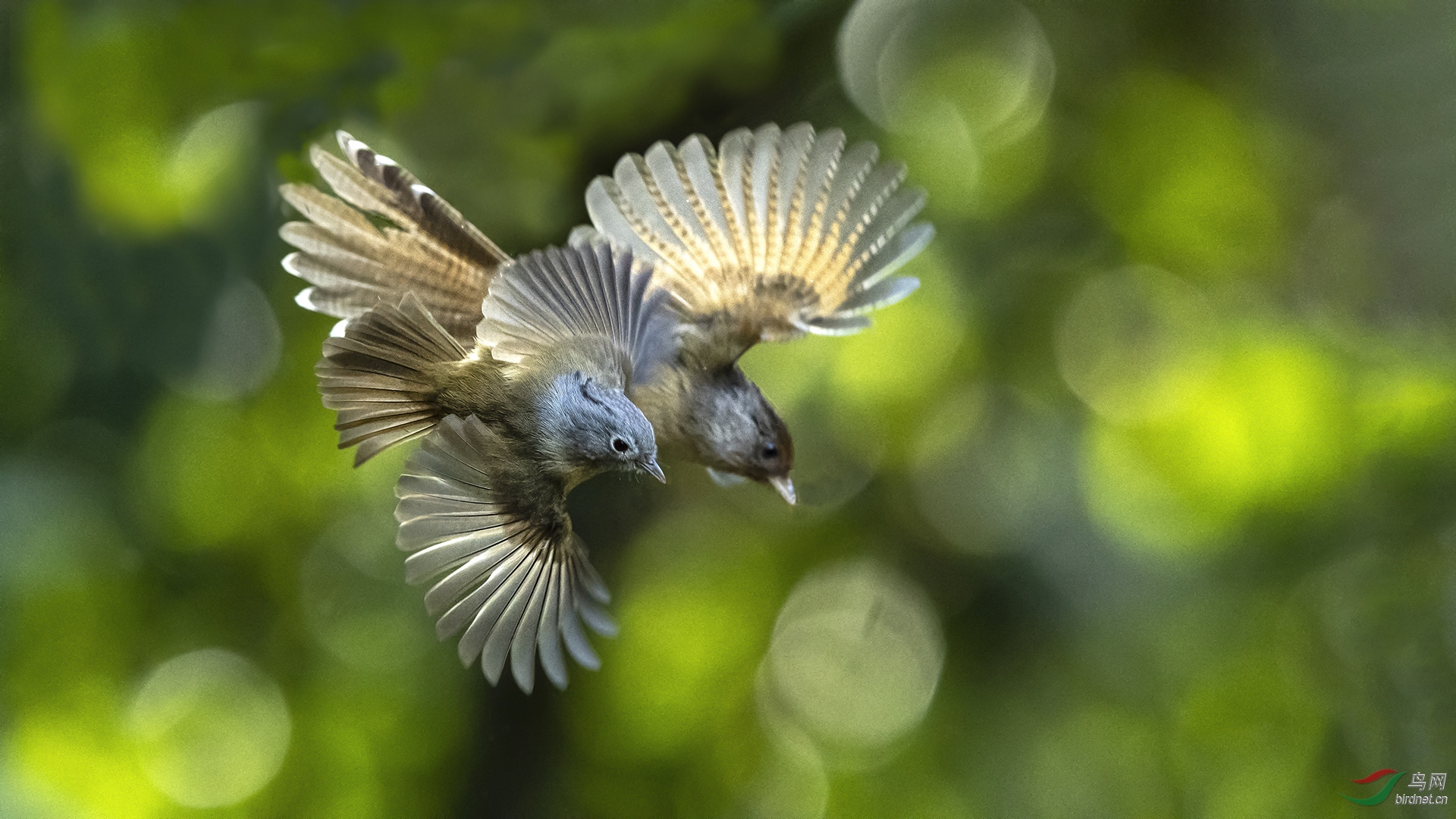 0063.�л���ͷ��Ÿ�� �����Ҹ� ��ƽ��.JPG