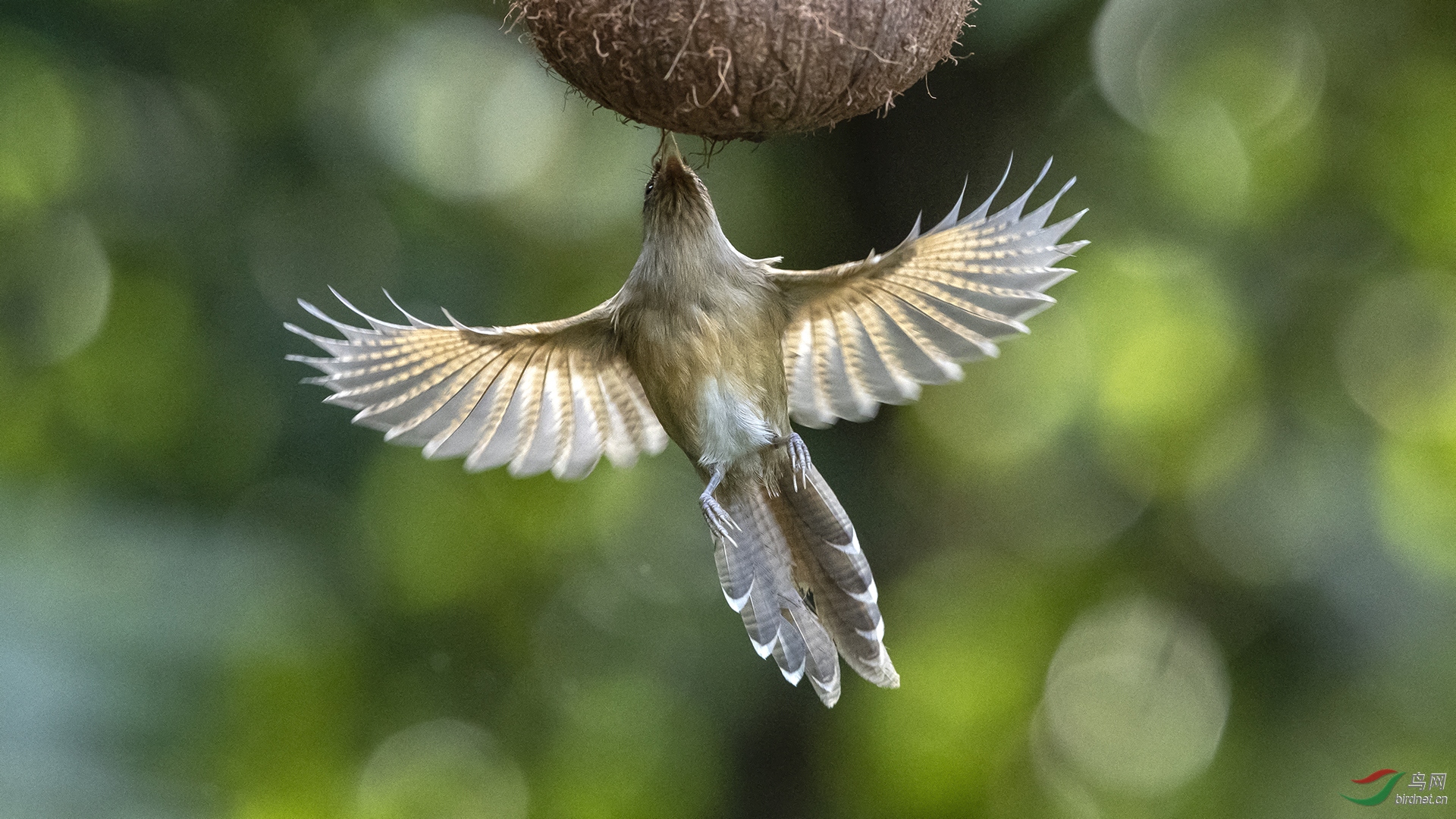 0067.�л���ͷ��Ÿ�� ��ʳ ��ƽ��.JPG