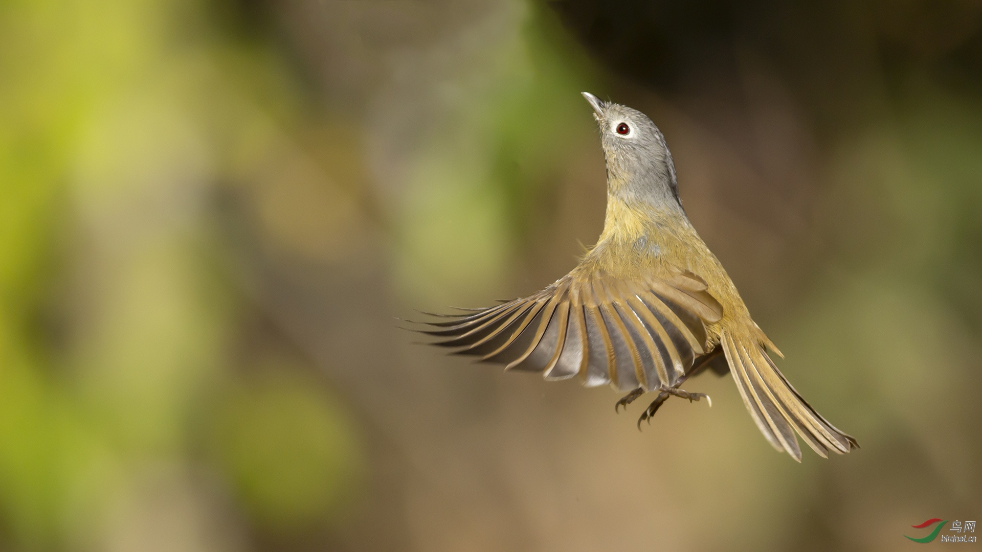 0070.�л���ͷ��Ÿ�� �ڷ� С��.jpg