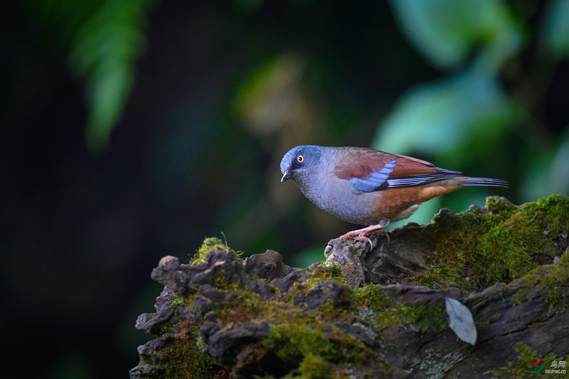 0003.0��ѻȸ �������� ������.jpg