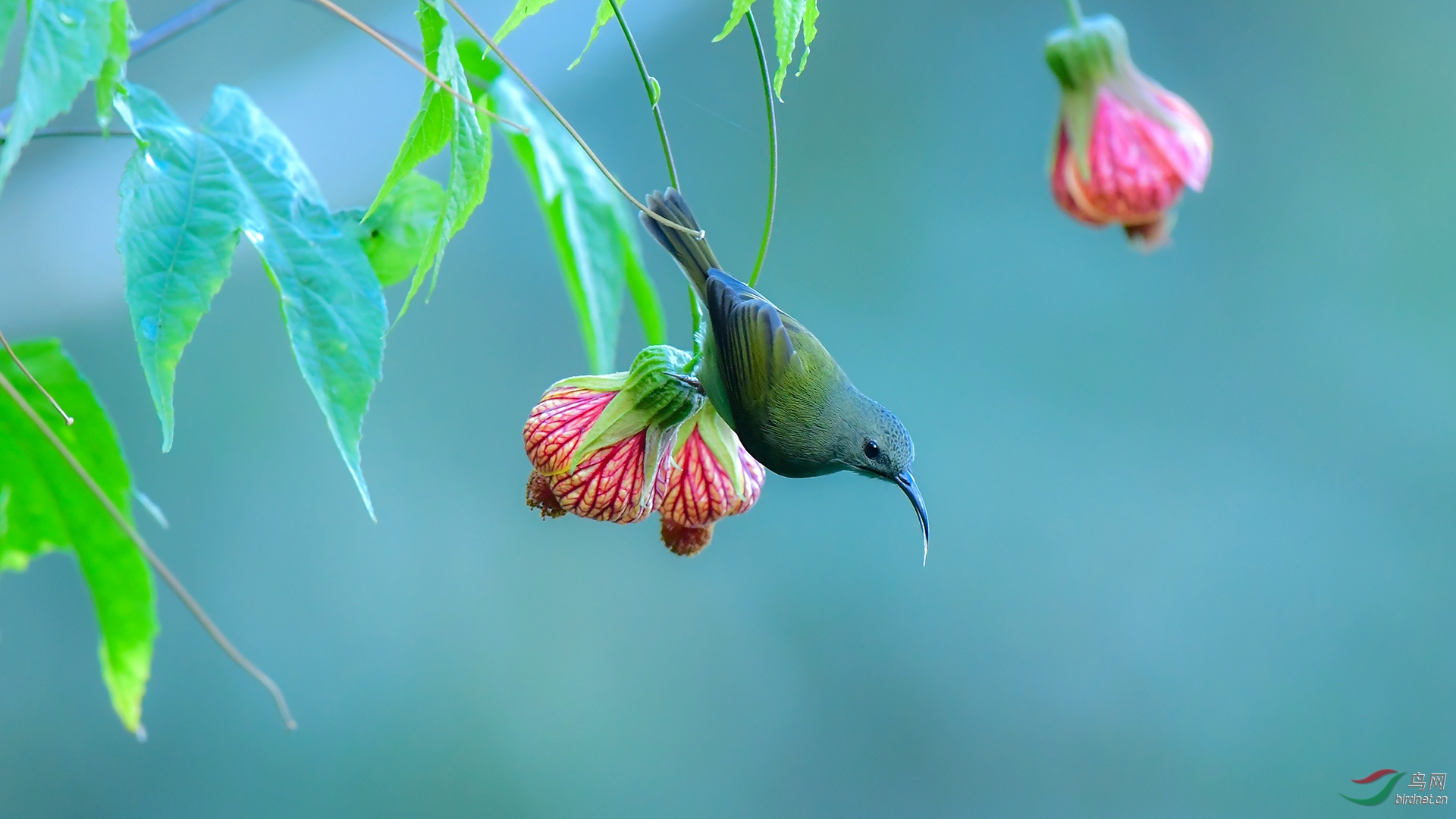 0124.ϸ�칳��ü�� �����  �����ﻨ�㡷.JPG