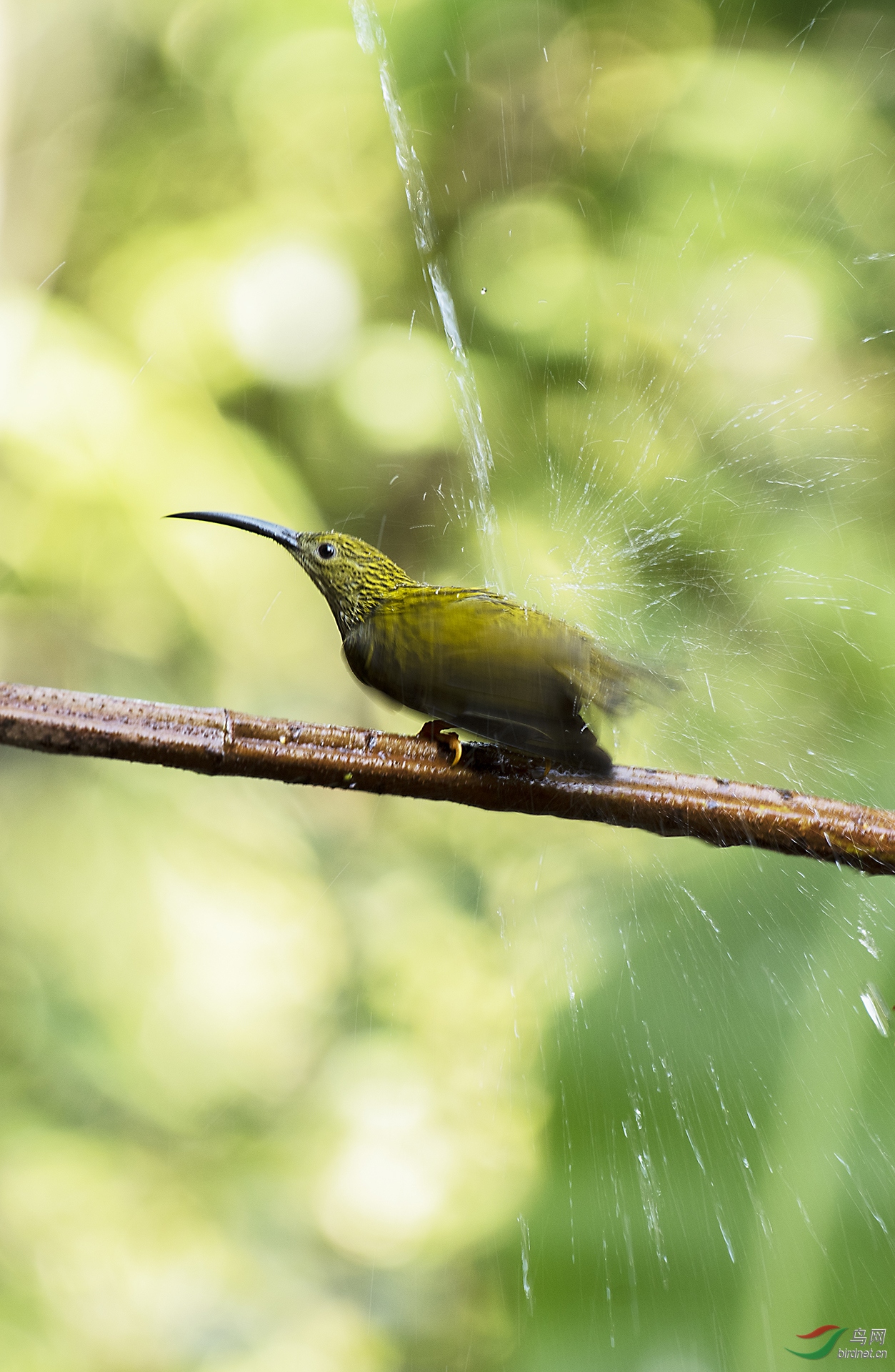 0138.�������� ����ԡ�� ����ţ.jpg