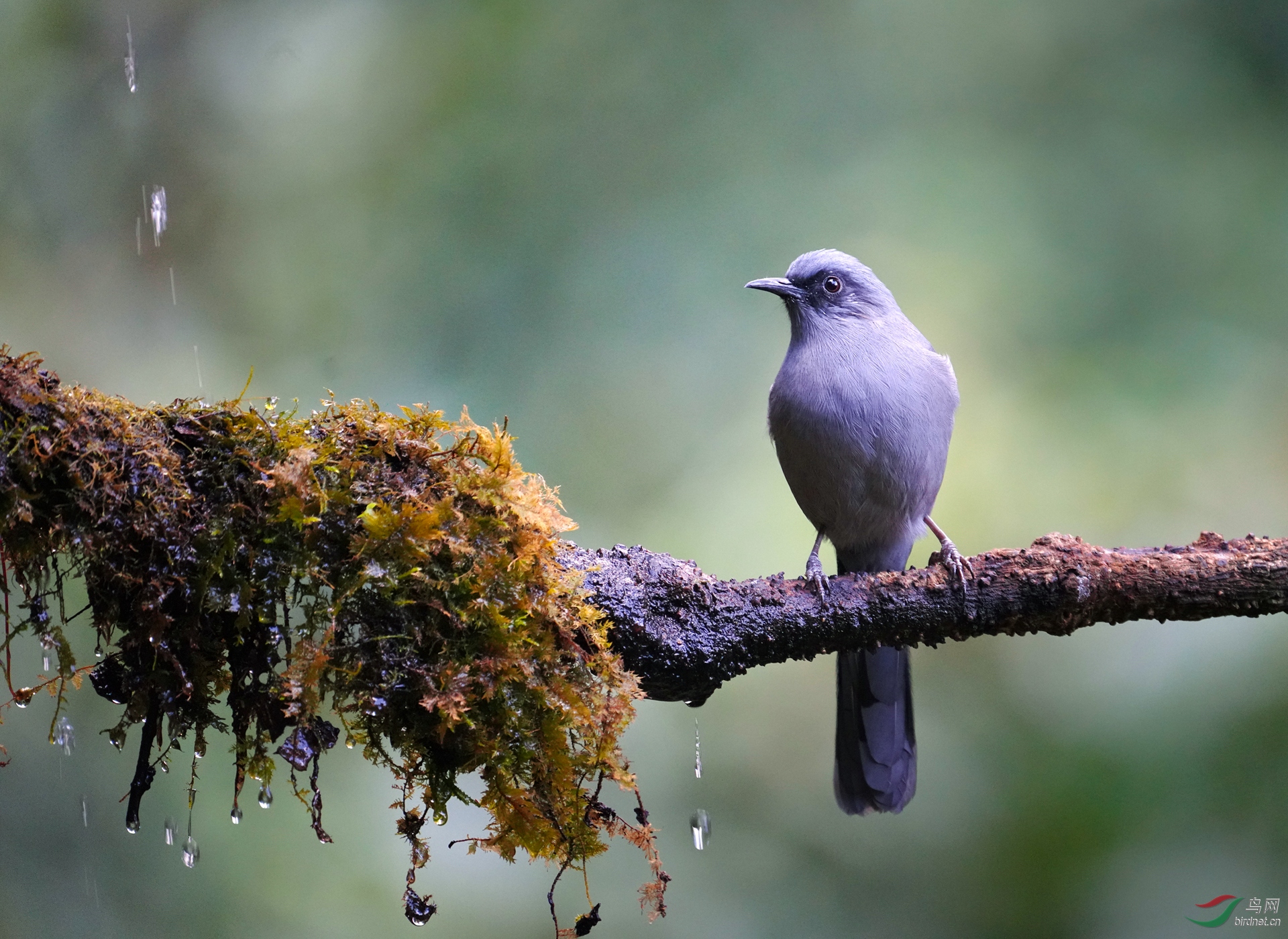 0165.��ѻȸ ��ɫ����������.jpg